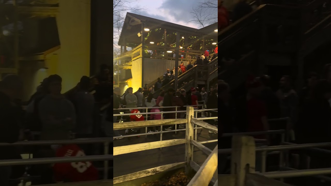 Mystic Timbers line at the beginning of the night.