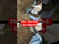 Real Life Scream Killers: Cassie Jo Stoddart #truecrimepodcast #truecrimecommunity #truecrimestories