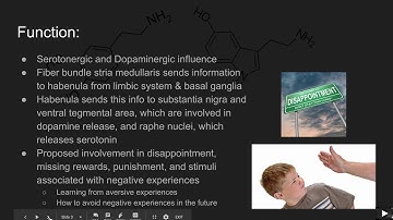 My Favorite Brain Part Project - PSYC 2070-001 Spring 2019