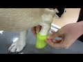 おさんぽソックス履かせ方動画