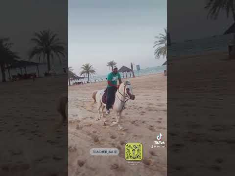 خيل وخيالة موسيقى يلوستن