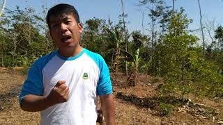 Mahal~maggy z (cover by duden haryanto)