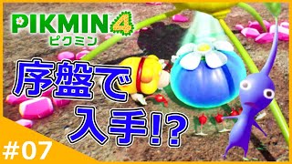 1度に出せる数40匹の序盤で『青オニヨン』の入手を試みる！【ピクミン4