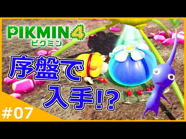1度に出せる数40匹の序盤で『青オニヨン』の入手を試みる！【ピクミン4