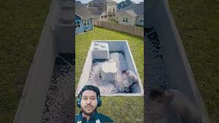 You Wont Believe This Iphone Pool In My Backyard