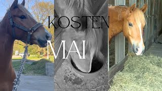 💸 Mein Pferd kostet mich 2026 bisher WIE VIEL? | Mai-Kosten + Jahresbilanz