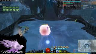 Infallible W5 - Mesmer @FeintFate