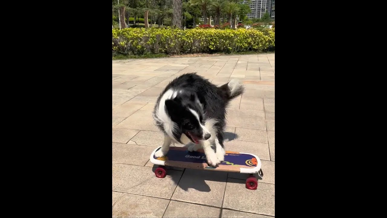 Let you play in water and fall down! Thank you for your attention and thumbs up. Looking for likes