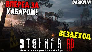 🔴СТРИМ | ХАБАРИМСЯ | СТАЛКЕР РП DARK WAY DAYZ