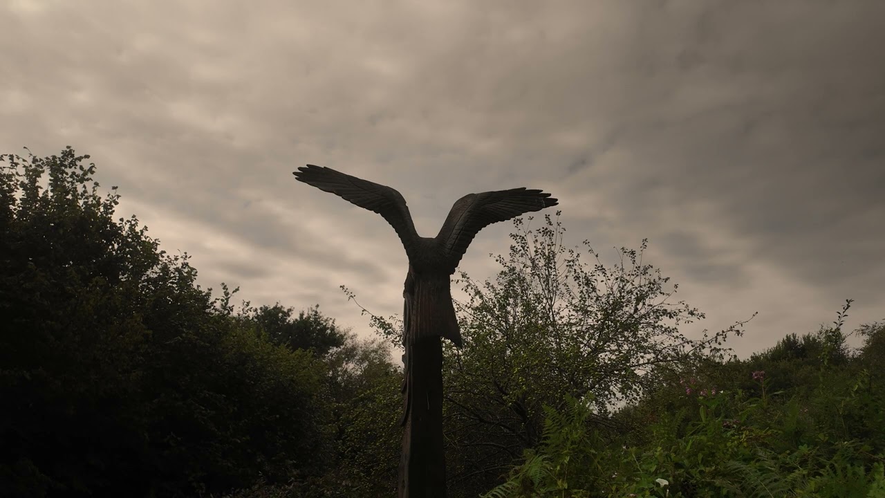 A boring walk video through Brynna woods Aug 2025