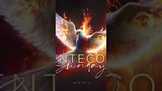 Holy Spirit Lord enlighten our hearts