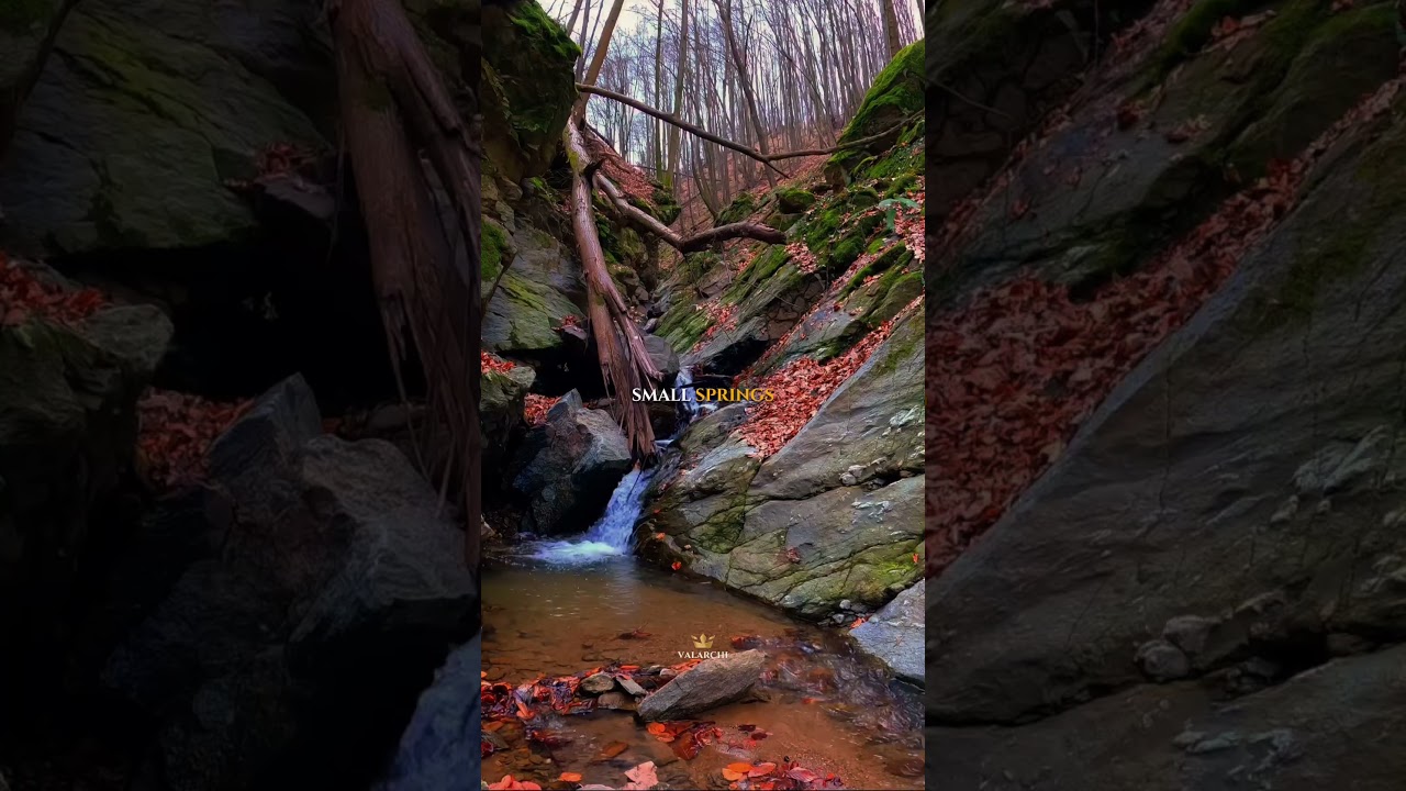 How Rivers Are Formed in Tamil Nadu