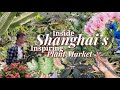 Plant shopping in china unique houseplants  interesting ways to grow and display plants 