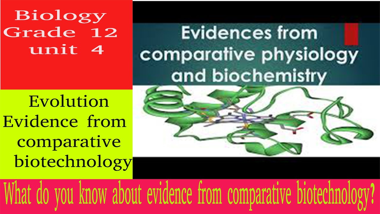 Evidence from comparative biotechnology | evolution | biology | grade 12 | unit 4 | Teacher Melaku