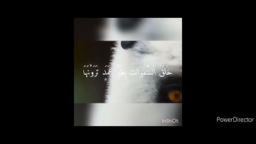 خلق السماوات بغير عمد ترونها بصوت القارئ إسلام صبحي