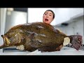 (eng) 10kg인생최대 '대광어’를 해체하라!!!! How to Cut a Huge Flatfish!!!