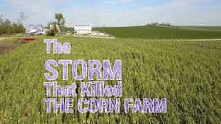 The Storm That Killed The Corn Farm