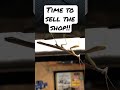 Shop for sale!! I can’t take big bugs!!  🐞