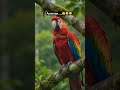 #atmosphere #amazing #facts #beautifulnature #jangal #funny