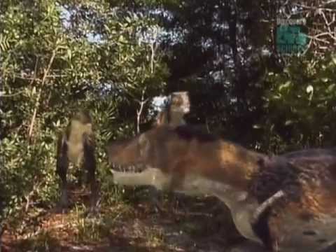 The Mystery Dinosaur PT 2 . - YouTube