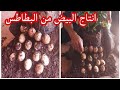 إنتاج البيض من البطاطس الاخوان الكرام أحبكم في الله هاد الفيديو للتوعية فقط هناك رسالة إنتاج البيض من البطاطس الاخوان الكرام أحبكم في الله هاد الفيديو للتوعية فقط هناك رسالة