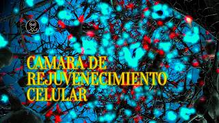 ★ CAMARA DE REJUVENECIMIENTO CELULAR ★ VERSIÓN 8HS