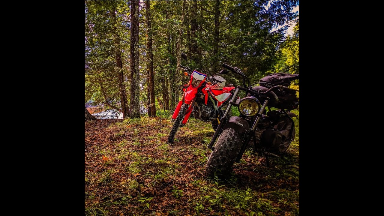 Crf300l - Mini Bike?