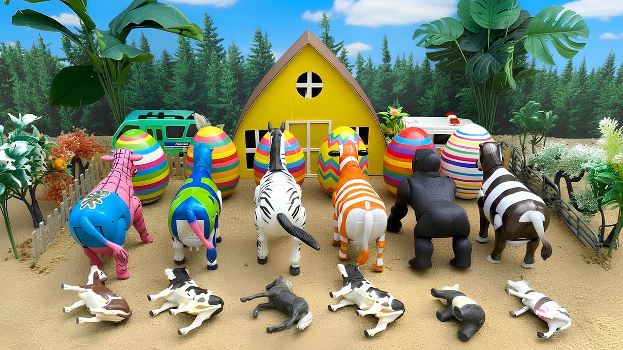 WADIDAU‼️PROSES POTONG SAPI KURBAN | PROSES MELAHIRKAN CESAR SAPI & DOMBA| Cow Videos