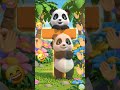 SO CUTE! Fluffy Panda Learn S to V! 🐼 | ABC Adventure for Kids | New Friend | Wonder World Kids
