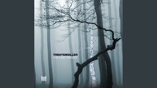 Into The Trees (Serenetti, Pt. 3)