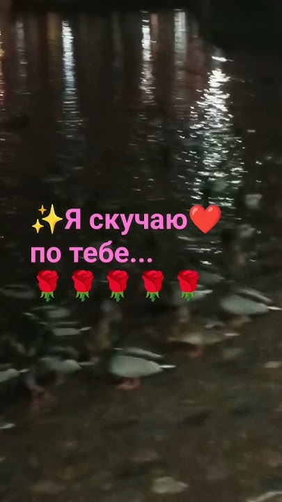 Я скучаю по тебе🌹🌹🌹🌹🌹# - YouTube