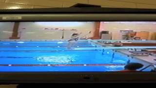 Hilarious Diving Smacks!