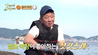 [안싸우면 다행이야] 초도 이장 지시 하에 삿갓 조개 스타트