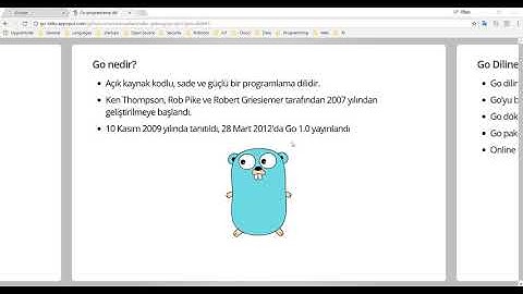 Go Programlama : Golang Nedir?