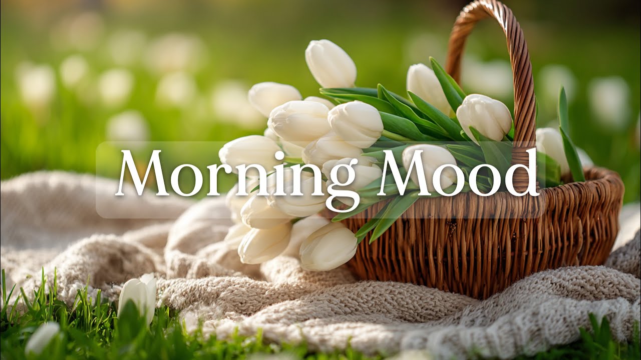 Утреннее настроение 🍀 Начните свой день позитивно вместе со мной - Утреннее настроение