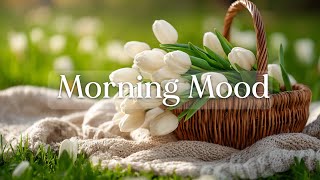 Download Lagu 아침 기분 🍀 저와 함께 긍정적으로 하루를 시작해 보세요 - Morning Mood MP3 Download Lagu 아침 기분 🍀 저와 함께 긍정적으로 하루를 시작해 보세요 - Morning Mood MP3