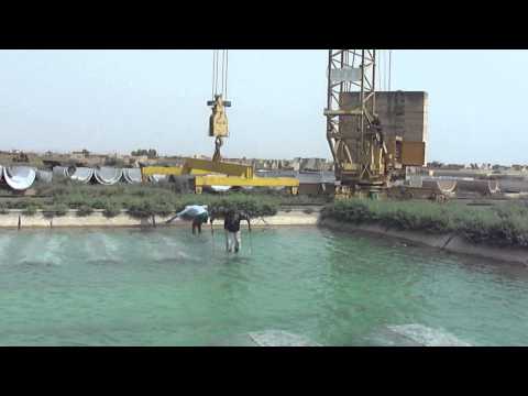 شركة الفاو العامة لتنفيذ مشاريع الري / معمل قنوات ربيعة