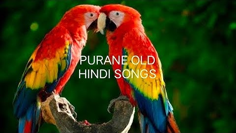 Naam Gum Jaayegaa(videoSong)-Kinara Jeetendra Hema Malini#puraneoldhindisongs