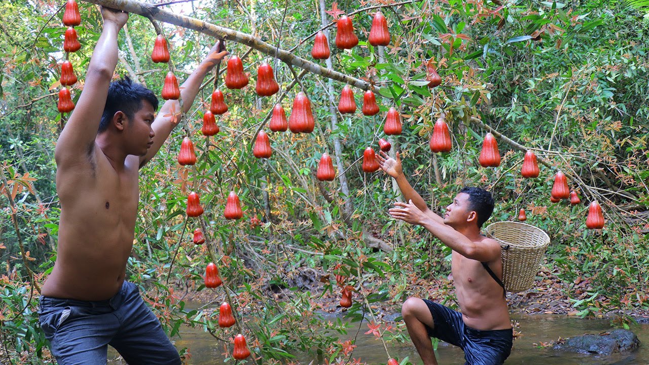 Adventure Find Wild Bell Fruit in Forest