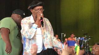 Beres Hammond Reggae In the Park 2017