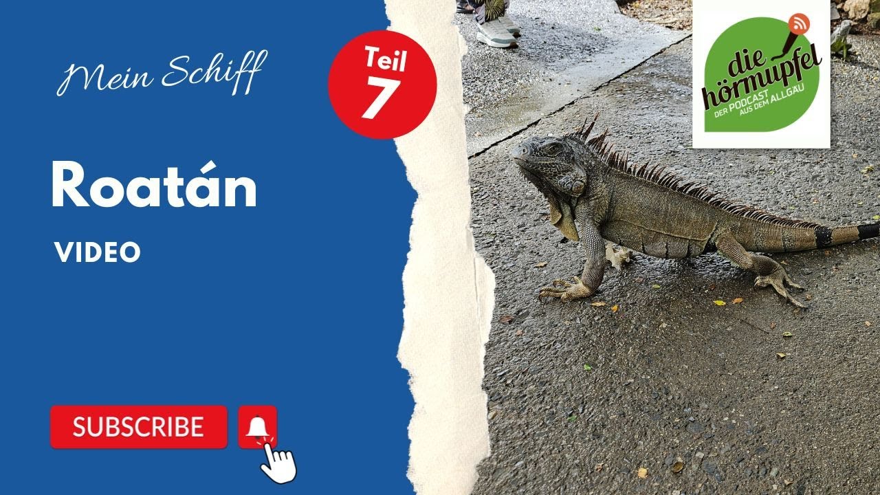 Roatán auf der Mein Schiff 1: Iguanas, Mangroven, Schiffswrack & Karibikstrand