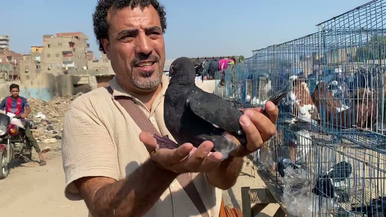 من سوق السيده لايف جميل 01014178127
