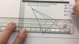 Ruler Dilations tutorial