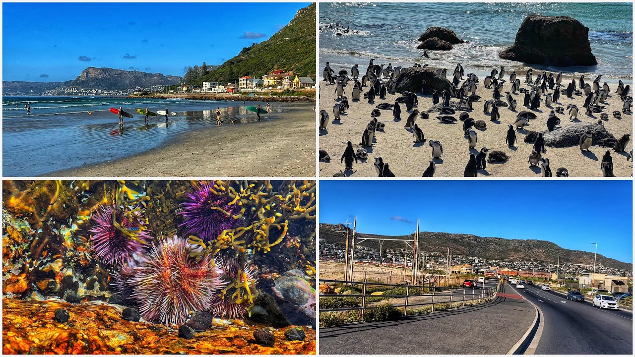 Scooter rides - My favourite coastline. False Bay, Muizenberg to Boulders Beach for pesky penguins