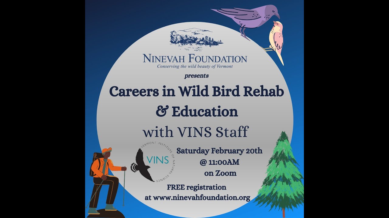 Careers in Wild Bird Rehab & Education
