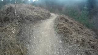 The monkey trail