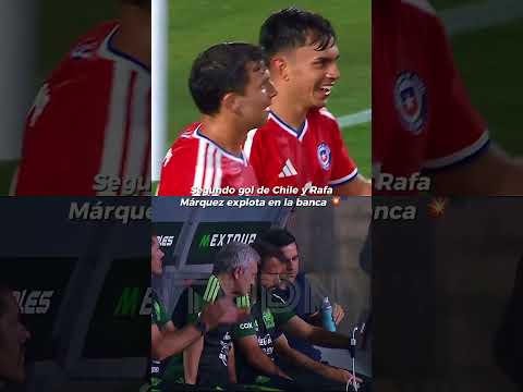 Ánimo Rafa, toca levantar la cara y trabajar 🥺 #shorts