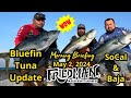 Wide open bluefin tuna fishing where and whats working best coronado island yellowtail rockfish