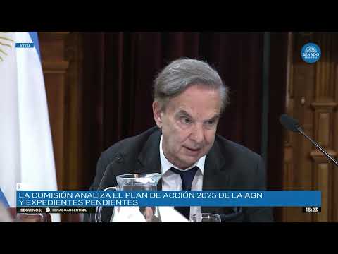 MIGUEL ÁNGEL PICHETTO 4 - BICAMERAL PERMANENTE MIXTA REVISORA DE CUENTAS 19-11-24