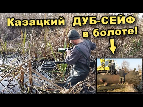 Поиск КАЗАЦКОГО СЕЙФА в болоте! В поисках сокровищ / In search of treasures